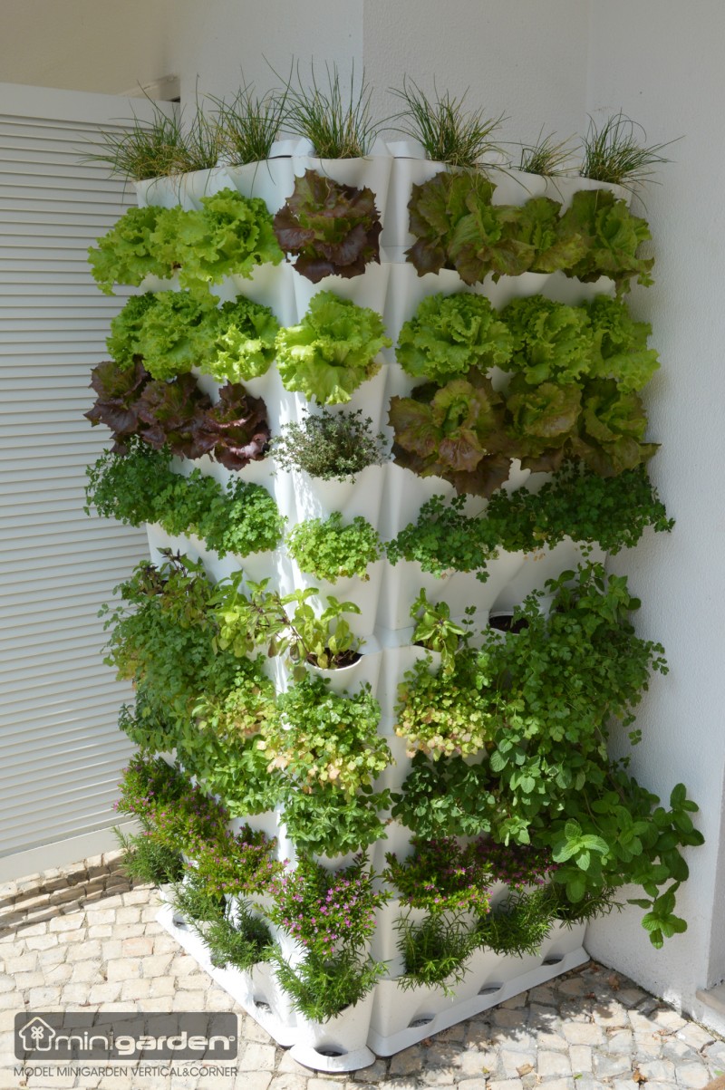 Minigarden - Zöldfalak, Élő növényfalak, élőfalak - Vertical modulok